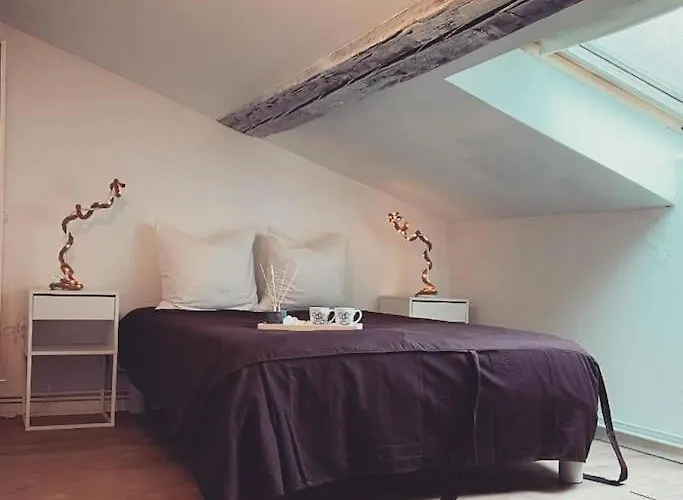 En Triplex Plein Centre Nancy